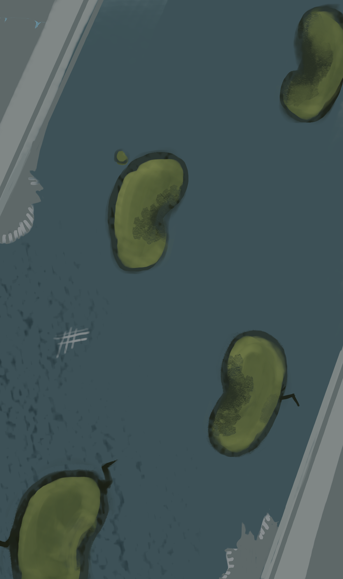 Roting footsteps
